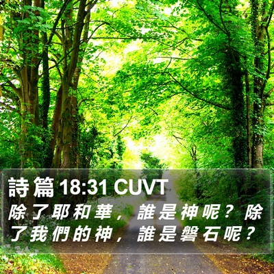 詩 篇 18:31 CUVT Bible Verse Image