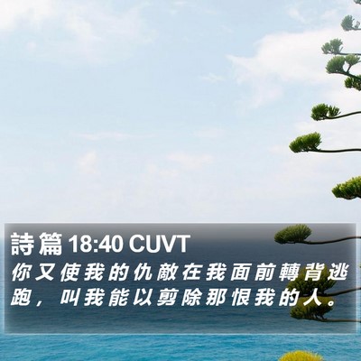 詩 篇 18:40 CUVT Bible Verse Image