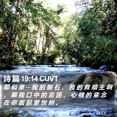 詩 篇 19:14 CUVT Bible Verse Image