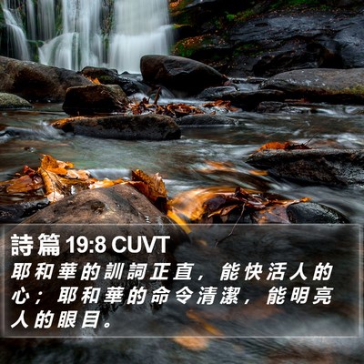 詩 篇 19:8 CUVT Bible Verse Image