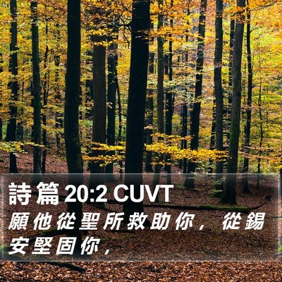 詩 篇 20:2 CUVT Bible Verse Image