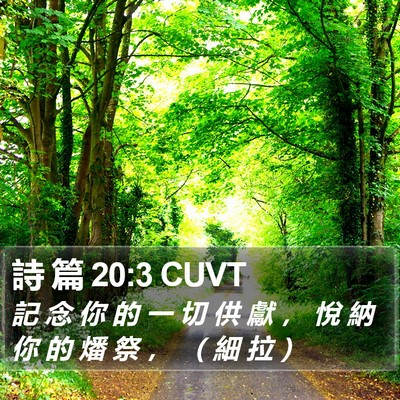 詩 篇 20:3 CUVT Bible Verse Image