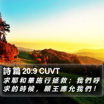 詩 篇 20:9 CUVT Bible Verse Image