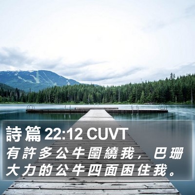 詩 篇 22:12 CUVT Bible Verse Image