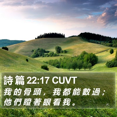 詩 篇 22:17 CUVT Bible Verse Image