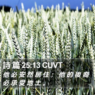 詩 篇 25:13 CUVT Bible Verse Image