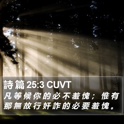 詩 篇 25:3 CUVT Bible Verse Image