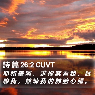 詩 篇 26:2 CUVT Bible Verse Image