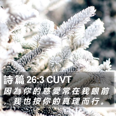 詩 篇 26:3 CUVT Bible Verse Image