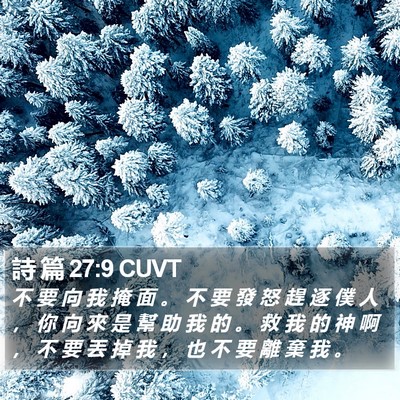 詩 篇 27:9 CUVT Bible Verse Image