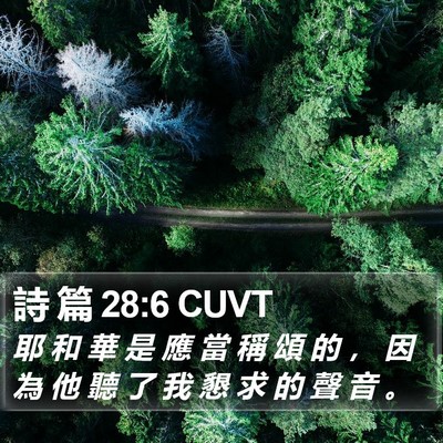 詩 篇 28:6 CUVT Bible Verse Image