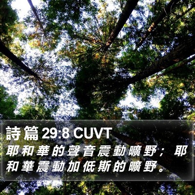 詩 篇 29:8 CUVT Bible Verse Image