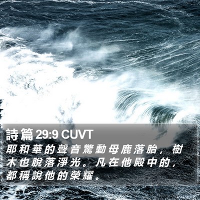 詩 篇 29:9 CUVT Bible Verse Image