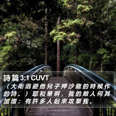 詩 篇 3:1 CUVT Bible Verse Image