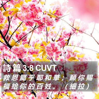 詩 篇 3:8 CUVT Bible Verse Image