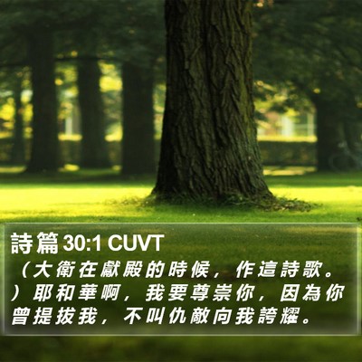 詩 篇 30:1 CUVT Bible Verse Image