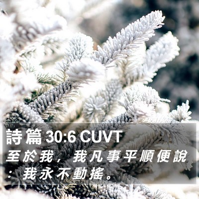 詩 篇 30:6 CUVT Bible Verse Image
