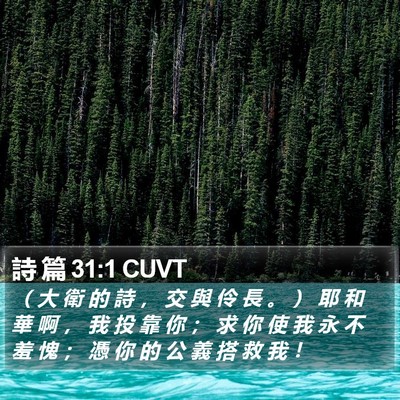 詩 篇 31:1 CUVT Bible Verse Image