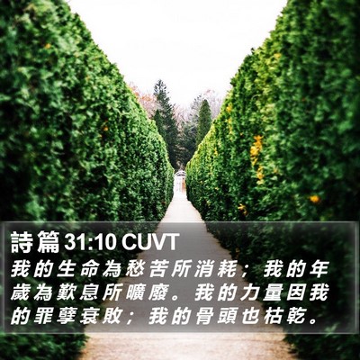 詩 篇 31:10 CUVT Bible Verse Image