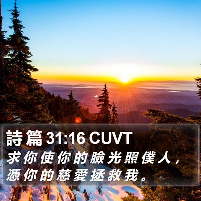 詩 篇 31:16 CUVT Bible Verse Image