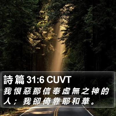 詩 篇 31:6 CUVT Bible Verse Image