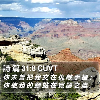 詩 篇 31:8 CUVT Bible Verse Image