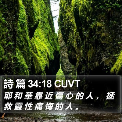 詩 篇 34:18 CUVT Bible Verse Image