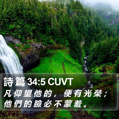 詩 篇 34:5 CUVT Bible Verse Image