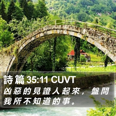 詩 篇 35:11 CUVT Bible Verse Image