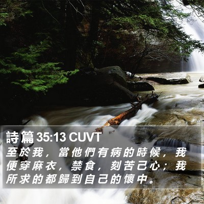 詩 篇 35:13 CUVT Bible Verse Image