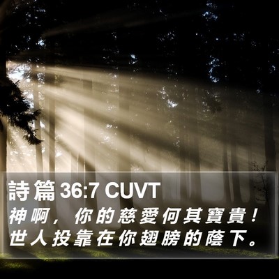詩 篇 36:7 CUVT Bible Verse Image