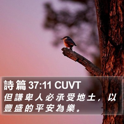詩 篇 37:11 CUVT Bible Verse Image