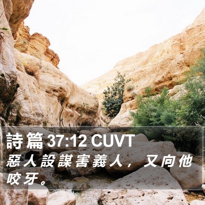 詩 篇 37:12 CUVT Bible Verse Image