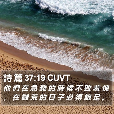 詩 篇 37:19 CUVT Bible Verse Image