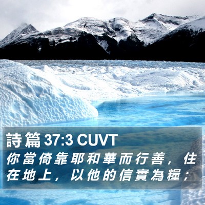 詩 篇 37:3 CUVT Bible Verse Image