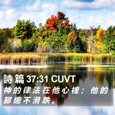 詩 篇 37:31 CUVT Bible Verse Image