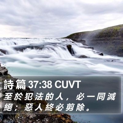 詩 篇 37:38 CUVT Bible Verse Image