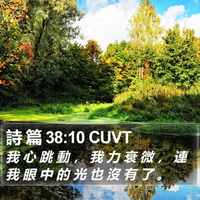 詩 篇 38:10 CUVT Bible Verse Image