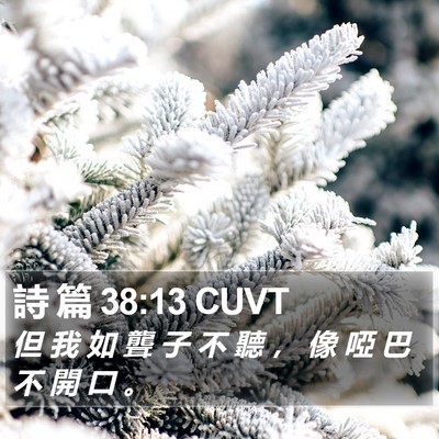 詩 篇 38:13 CUVT Bible Verse Image