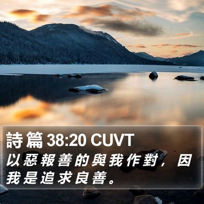 詩 篇 38:20 CUVT Bible Verse Image