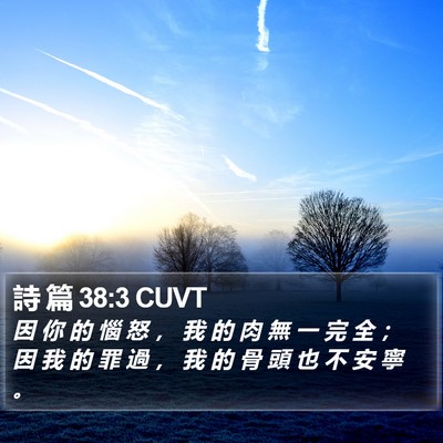 詩 篇 38:3 CUVT Bible Verse Image