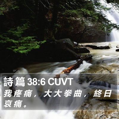 詩 篇 38:6 CUVT Bible Verse Image