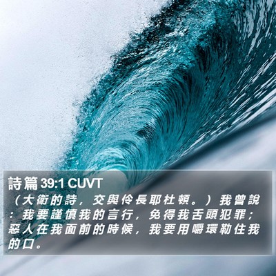 詩 篇 39:1 CUVT Bible Verse Image
