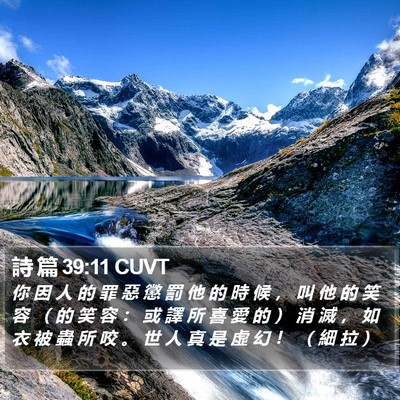 詩 篇 39:11 CUVT Bible Verse Image