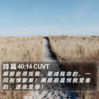 詩 篇 40:14 CUVT Bible Verse Image
