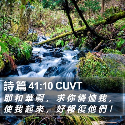 詩 篇 41:10 CUVT Bible Verse Image