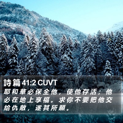 詩 篇 41:2 CUVT Bible Verse Image