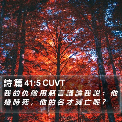 詩 篇 41:5 CUVT Bible Verse Image