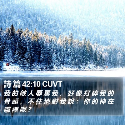 詩 篇 42:10 CUVT Bible Verse Image
