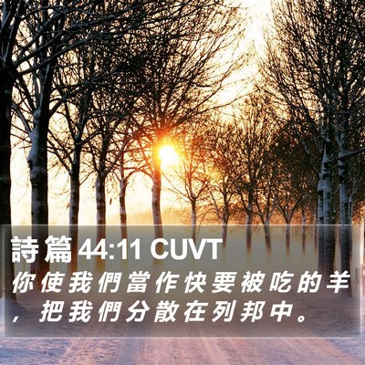 詩 篇 44:11 CUVT Bible Verse Image